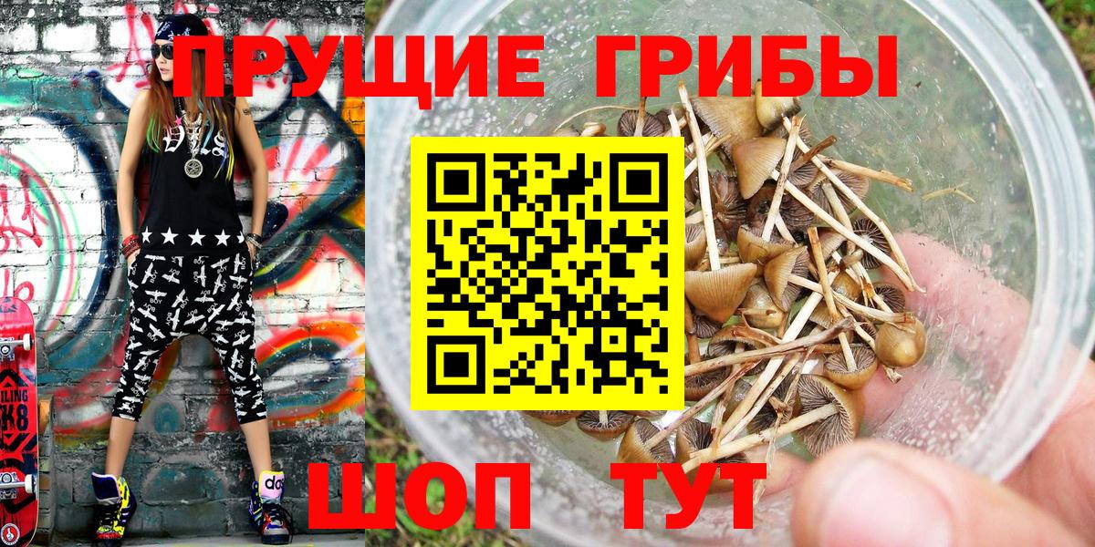 Псилоцибиновые грибы GOLDEN TEACHER  Галлюциногенные грибы Magic Shrooms  Армавир  Вход с VPN 